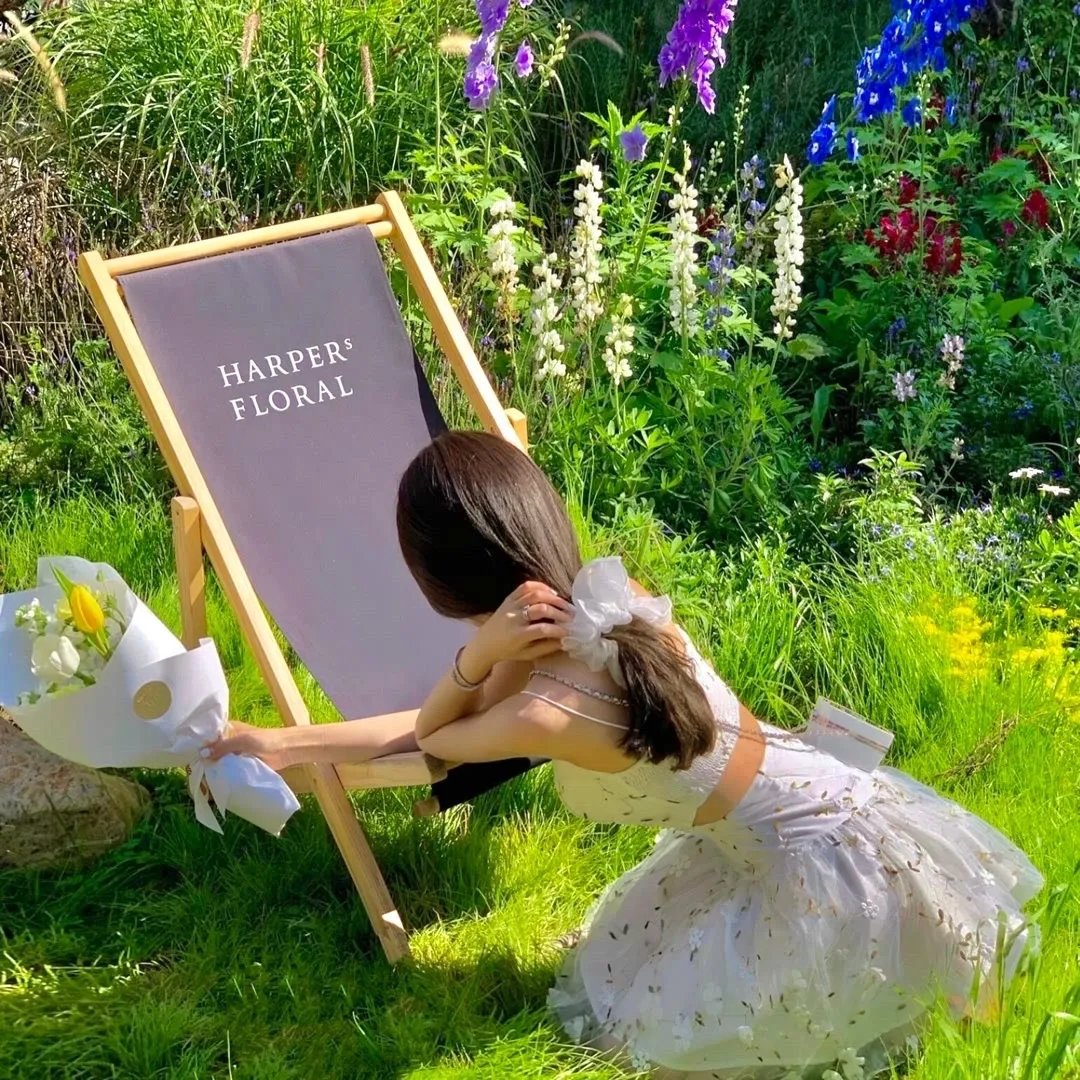 天才侦探御手洗洁：难解事件档案之折伞的女人